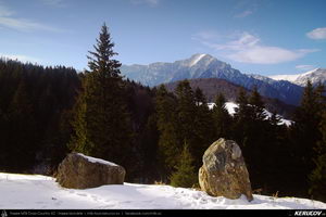 distanta