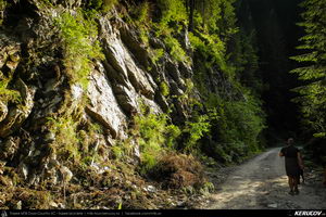 Trasee cu bicicleta MTB XC - Traseu MTB Muntii Latoritei: Gara Lotru - Brezoi - Valea lui Stan - Malaia - Ciungetu - Petrimanu (Lacul Bradisor - Lacul Malaia - Valea Latoritei - Lacul Petrimanu - Lacul Galbenu) de Andrei Vocurek