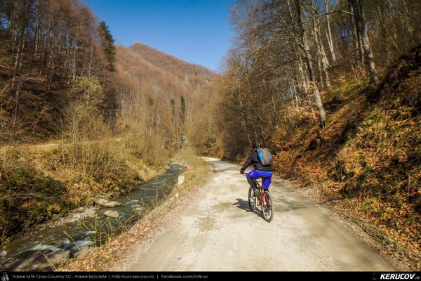 Traseu MTB Pietrosita - Dealu Frumos - Runcu - Valea Runcului - Piatra - Badeni - Fieni (Muntii Leaota, Manastirea Runcu)