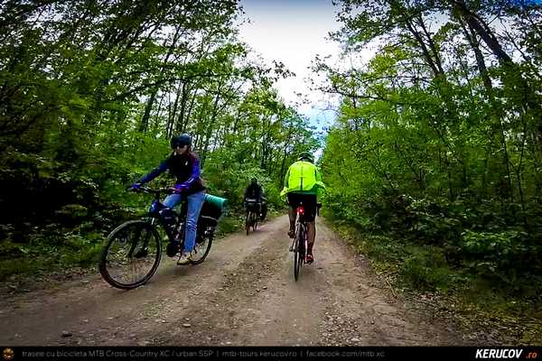 Trasee cu bicicleta MTB XC - Traseu SSP Bucuresti - Colibasi - Comana - Vlad Tepes - Gradistea - 1 Decembrie - Bucuresti (bujorul de padure in Parcul Natural Comana) de Andrei Vocurek