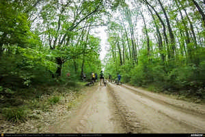 Trasee cu bicicleta MTB XC - Traseu SSP Bucuresti - 1 Decembrie - Gradistea - Comana - Vlad Tepes - Mogosesti - Jilava - Bucuresti (bujorul de padure in Parcul Natural Comana) de Andrei Vocurek