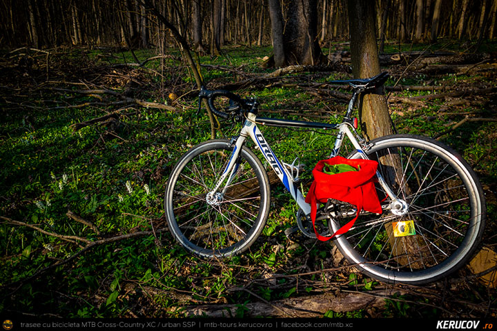 Fotografia Le'ur? Da XoX