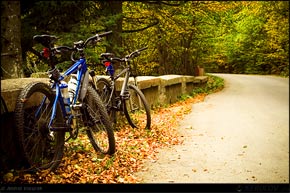 Traseu cu bicicleta MTB XC Sinaia - Cota 1400 - Poiana Regala - Cumpatu - Sinaia - KERUCOV .ro © 2007 - 2022 #traseecubicicleta #mtb #ssp