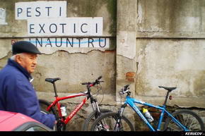 Traseu cu bicicleta MTB XC Bucuresti - Padurea Boldu-Cretuleasa - Padurea Andronache - KERUCOV .ro © 2007 - 2023 #traseecubicicleta #mtb #ssp