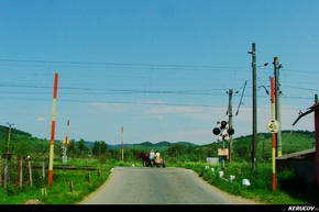 Traseu MTB Sighisoara - Prod - Copsa Mare - Biertan - KERUCOV .ro © 2007 - 2022 #traseecubicicleta #mtb #ssp