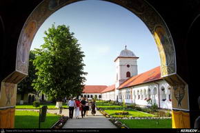 Trasee cu bicicleta MTB XC - Traseu MTB Ploiesti - Barcanesti - Gradistea - Caciulati - Bucuresti de Andrei Vocurek