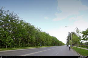 Trasee cu bicicleta MTB XC - Traseu MTB Ploiesti - Barcanesti - Gradistea - Caciulati - Bucuresti de Andrei Vocurek