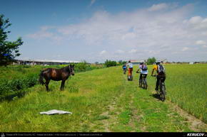 Trasee cu bicicleta MTB XC - Traseu MTB Bucuresti - Padurea Baneasa - Otopeni - Moara Vlasiei - Tunari de Andrei Vocurek
