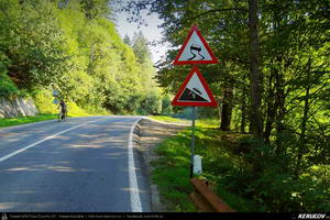Trasee cu bicicleta MTB XC - Traseu MTB Cheia - Homoraciu - Slanic - Pietriceaua - Brebu - Campina de Andrei Vocurek