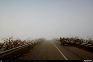 Trasee cu bicicleta MTB XC - Traseu MTB Sarulesti - Magureni - Vadu Anei - Cernica - Padurea Pantelimon de Andrei Vocurek