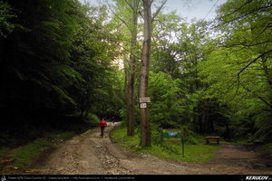 Trasee cu bicicleta MTB XC - Traseu MTB Caciulata - Valea Pausa - Manastirea Stanisoara - Manastirea Turnu - Calimanesti (Parcul National Cozia) de Andrei Vocurek
