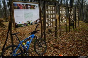 Trasee cu bicicleta MTB XC - Traseu MTB Crit - Mesendorf - Crit (traseu marcat de ciclism si drumetie) de Andrei Vocurek