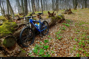 Trasee cu bicicleta MTB XC - Traseu MTB Crit - Mesendorf - Crit (traseu marcat de ciclism si drumetie) de Andrei Vocurek
