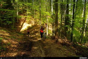 Trasee cu bicicleta MTB XC - Traseu MTB Predeal - Poiana Secuilor - Cheile Rasnoavei - Paraul Rece - Predeal de Andrei Vocurek