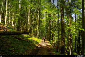 Trasee cu bicicleta MTB XC - Traseu MTB Predeal - Poiana Secuilor - Cheile Rasnoavei - Paraul Rece - Predeal de Andrei Vocurek
