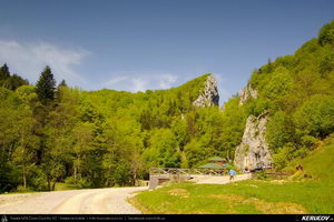 Trasee cu bicicleta MTB XC - Traseu MTB Predeal - Poiana Secuilor - Cheile Rasnoavei - Paraul Rece - Predeal de Andrei Vocurek