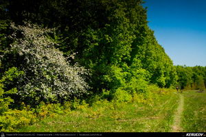 Trasee cu bicicleta MTB XC - Traseu MTB Topoloveni Bike Adventure - TBA Primavara 2015: Topoloveni - Botarcani - Crintesti - Glambocelu - Baila - Topoloveni (concurs MTB) de Andrei Vocurek