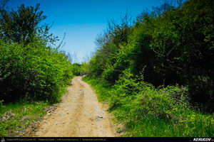 Trasee cu bicicleta MTB XC - Traseu MTB Topoloveni Bike Adventure - TBA Primavara 2015: Topoloveni - Botarcani - Crintesti - Glambocelu - Baila - Topoloveni (concurs MTB) de Andrei Vocurek