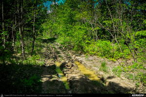 Trasee cu bicicleta MTB XC - Traseu MTB Topoloveni Bike Adventure - TBA Primavara 2015: Topoloveni - Botarcani - Crintesti - Glambocelu - Baila - Topoloveni (concurs MTB) de Andrei Vocurek