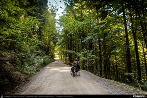 Trasee cu bicicleta MTB XC - Traseu MTB Zarnesti - Magura - Pestera - Moieciu - Bran - Predelut - Zarnesti (varianta familie, copil de 2 ani) de Andrei Vocurek