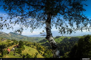 Trasee cu bicicleta MTB XC - Traseu MTB Zarnesti - Magura - Pestera - Moieciu - Bran - Predelut - Zarnesti (varianta familie, copil de 2 ani) de Andrei Vocurek