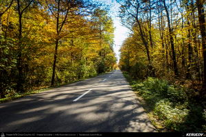 Trasee cu bicicleta MTB XC - Traseu SSP Campina - Banesti - Urleta - Mislea - Cocorastii Mislii - Plopeni - Baicoi - Floresti de Andrei Vocurek