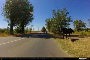 Trasee cu bicicleta MTB XC - Traseu SSP Bucuresti - Jilava - Darasti-Ilfov - Adunatii-Copaceni - Comana - Gradistea - 1 Decembrie - Bucuresti * de Andrei Vocurek