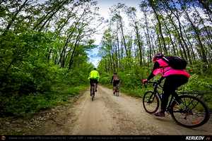 Trasee cu bicicleta MTB XC - Traseu SSP Bucuresti - Colibasi - Comana - Vlad Tepes - Gradistea - 1 Decembrie - Bucuresti (bujorul de padure in Parcul Natural Comana) de Andrei Vocurek