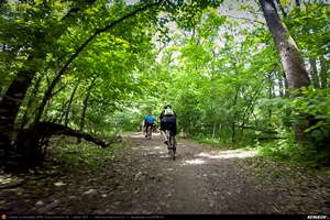 Trasee cu bicicleta MTB XC - Traseu SSP Bucuresti - Baneasa - Mogosoaia - Buftea - Tamasi - Corbeanca - Balotesti - Dimieni - Tunari - Bucuresti: O pedala prin Padurea Baneasa de Andrei Vocurek