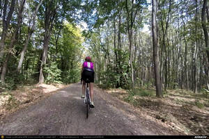 Trasee cu bicicleta MTB XC - Traseu SSP Bucuresti - Pipera - Tunari - Balotesti - Tancabesti - Ciolpani - Izvorani - Silistea Snagovului - Gruiu - Lipia - Caldarusani - Moara Vlasiei - Dascalu - Stefanestii de Sus - Tunari - Pipera - Bucuresti de Andrei Vocurek