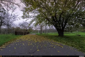 Trasee cu bicicleta MTB XC - Traseu SSP Bucuresti - Alunisu - 1 Decembrie - Darasti-Vlasca - Popesti - (spre) Mihailesti (si retur) * de Andrei Vocurek