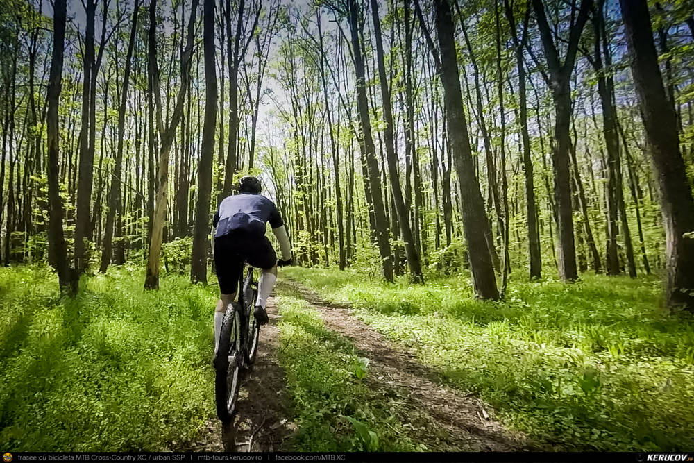 Trasee cu bicicleta MTB XC - Traseu MTB Brazi - Popesti - Stejaru - Piatra - Cocorastii Colt - Coltu de Jos - Varnita - Sirna - Tinosu - Crivina - Poienarii Apostoli - Poienarii Burchii - Carbunari - Podu Valeni - Burias - Balteni - Padurea Scrovistea - Peris de Andrei Vocurek