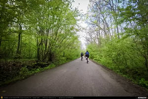 Trasee cu bicicleta MTB XC - Traseu MTB Brazi - Popesti - Stejaru - Piatra - Cocorastii Colt - Coltu de Jos - Varnita - Sirna - Tinosu - Crivina - Poienarii Apostoli - Poienarii Burchii - Carbunari - Podu Valeni - Burias - Balteni - Padurea Scrovistea - Peris de Andrei Vocurek