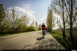 Trasee cu bicicleta MTB XC - Traseu MTB Brazi - Popesti - Stejaru - Piatra - Cocorastii Colt - Coltu de Jos - Varnita - Sirna - Tinosu - Crivina - Poienarii Apostoli - Poienarii Burchii - Carbunari - Podu Valeni - Burias - Balteni - Padurea Scrovistea - Peris de Andrei Vocurek