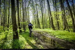 Trasee cu bicicleta MTB XC - Traseu MTB Brazi - Popesti - Stejaru - Piatra - Cocorastii Colt - Coltu de Jos - Varnita - Sirna - Tinosu - Crivina - Poienarii Apostoli - Poienarii Burchii - Carbunari - Podu Valeni - Burias - Balteni - Padurea Scrovistea - Peris de Andrei Vocurek