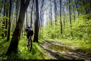 Trasee cu bicicleta MTB XC - Traseu MTB Brazi - Popesti - Stejaru - Piatra - Cocorastii Colt - Coltu de Jos - Varnita - Sirna - Tinosu - Crivina - Poienarii Apostoli - Poienarii Burchii - Carbunari - Podu Valeni - Burias - Balteni - Padurea Scrovistea - Peris de Andrei Vocurek