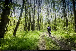 Trasee cu bicicleta MTB XC - Traseu MTB Brazi - Popesti - Stejaru - Piatra - Cocorastii Colt - Coltu de Jos - Varnita - Sirna - Tinosu - Crivina - Poienarii Apostoli - Poienarii Burchii - Carbunari - Podu Valeni - Burias - Balteni - Padurea Scrovistea - Peris de Andrei Vocurek