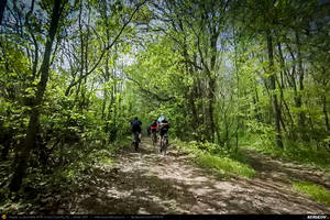 Trasee cu bicicleta MTB XC - Traseu MTB Brazi - Popesti - Stejaru - Piatra - Cocorastii Colt - Coltu de Jos - Varnita - Sirna - Tinosu - Crivina - Poienarii Apostoli - Poienarii Burchii - Carbunari - Podu Valeni - Burias - Balteni - Padurea Scrovistea - Peris de Andrei Vocurek