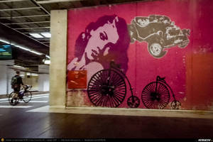 Trasee cu bicicleta MTB XC - Traseu MTB Brazi - Popesti - Stejaru - Piatra - Cocorastii Colt - Coltu de Jos - Varnita - Sirna - Tinosu - Crivina - Poienarii Apostoli - Poienarii Burchii - Carbunari - Podu Valeni - Burias - Balteni - Padurea Scrovistea - Peris de Andrei Vocurek