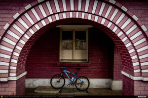 Trasee cu bicicleta MTB XC - Traseu MTB Brazi - Popesti - Stejaru - Piatra - Cocorastii Colt - Coltu de Jos - Varnita - Sirna - Tinosu - Crivina - Poienarii Apostoli - Poienarii Burchii - Carbunari - Podu Valeni - Burias - Balteni - Padurea Scrovistea - Peris de Andrei Vocurek