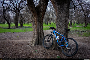 Trasee cu bicicleta MTB XC - Traseu MTB Bucuresti - Calugareni - Branistari - spre Comana - Gradistea - 1 Decembrie - Bucuresti de Andrei Vocurek
