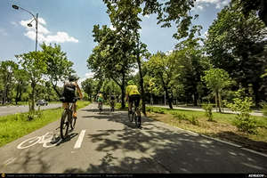 Trasee cu bicicleta MTB XC - Traseu SSP Bucuresti - Mogosoaia - Buftea - Tamasi - Corbeanca - Balotesti - Tunari - Bucuresti de Andrei Vocurek