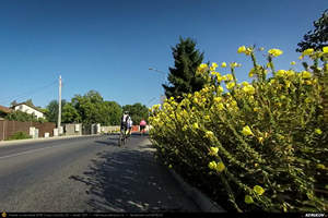 Trasee cu bicicleta MTB XC - Traseu SSP Bucuresti - Magurele - Clinceni - Domnesti - Darvari - Ciorogarla - Joita - Cosoba - Bacu - Ciorogarla - Darvari - Domnesti - Clinceni - Magurele - Alunisu - Darasti-Ilfov - 1 Decembrie - Adunatii-Copaceni - 1 Decembrie - Alunisu - Bucuresti de Andrei Vocurek