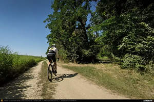 Trasee cu bicicleta MTB XC - Traseu SSP Bucuresti - Magurele - Clinceni - Domnesti - Darvari - Ciorogarla - Joita - Cosoba - Bacu - Ciorogarla - Darvari - Domnesti - Clinceni - Magurele - Alunisu - Darasti-Ilfov - 1 Decembrie - Adunatii-Copaceni - 1 Decembrie - Alunisu - Bucuresti de Andrei Vocurek