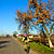 Traseu cu bicicleta SSP Bucuresti - Berceni - Dobreni - Colibasi - Falastoaca - Budeni - Branistari - Calugareni - Bucuresti - KERUCOV .ro © 2007 - 2024 #traseecubicicleta #mtb #ssp